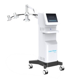 6D Lipolaser Slimming Machine