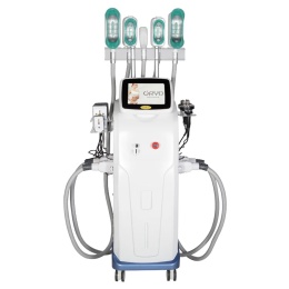 Perfectlaser Cryolipolysis 4 w 1