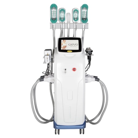 Perfectlaser Cryolipolysis 4 w 1 Perfectlaser Cryolipolysis 4 w 1