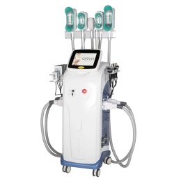 Perfectlaser Cryolipolysis 4 w 1