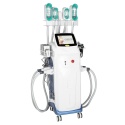 Perfectlaser Cryolipolysis 4 w 1 Perfectlaser Cryolipolysis 4 w 1